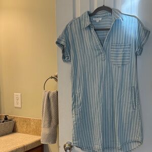 Blu Pepper Sage Striped Mini Dress